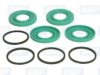 SBP CRK-170 Repair Kit, brake caliper